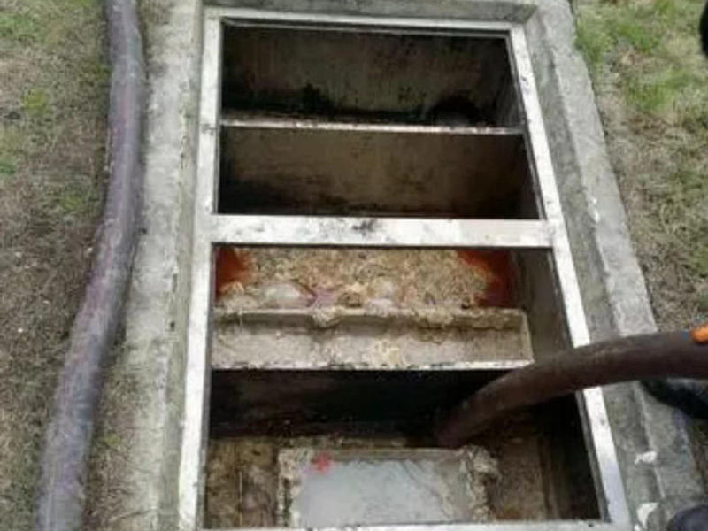 54197575_-242692537_-1254605950.jpg
