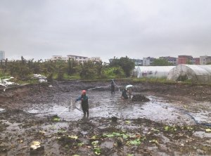 额尔古纳河道鱼塘清淤